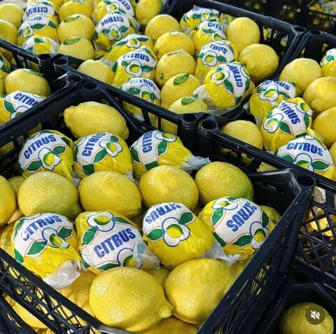 Limon KG