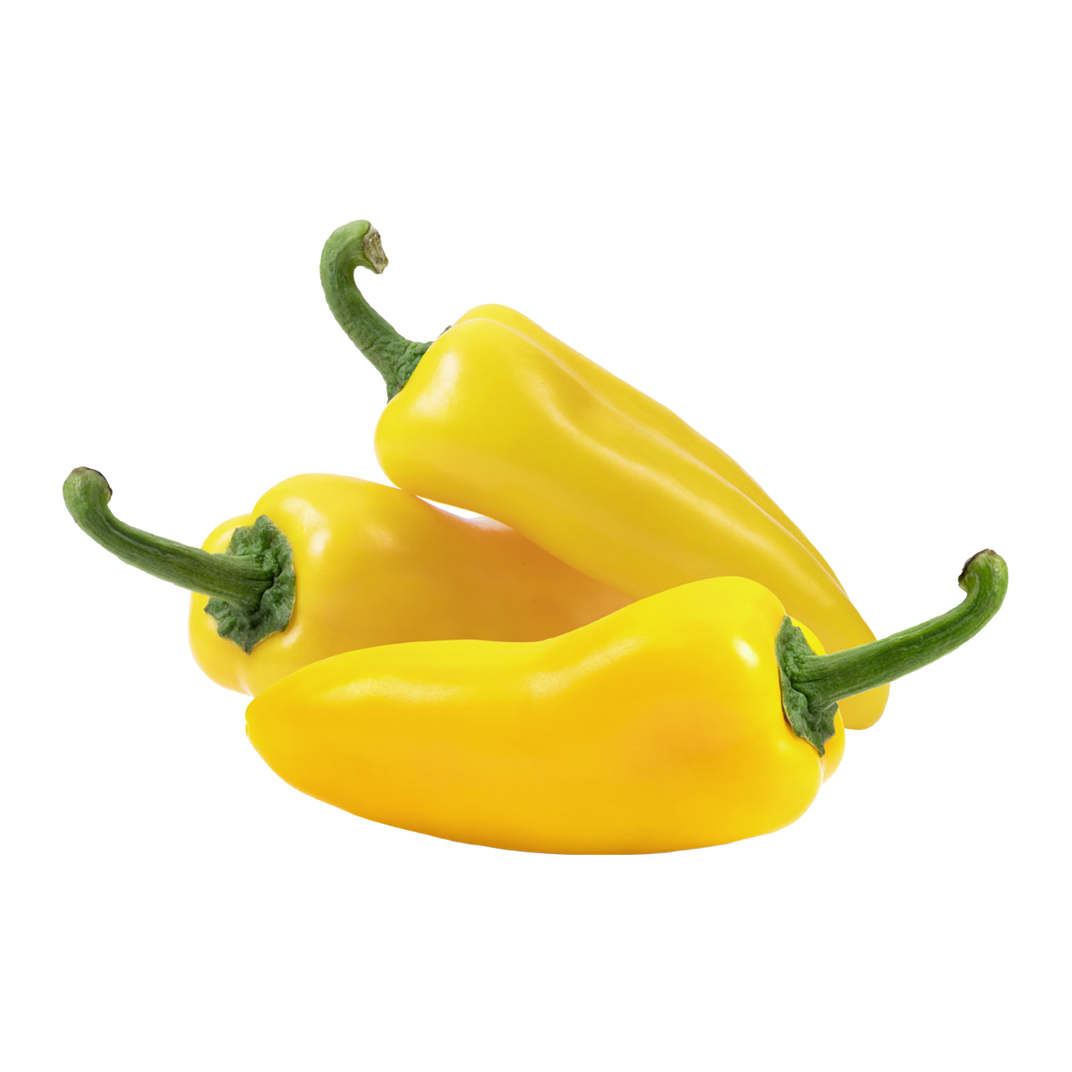 Biber Kapya Sarı KG