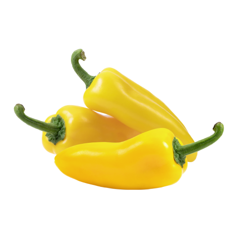 Biber Kapya Sarı KG