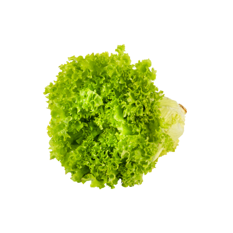 Marul Kıvırcık 1 Demet