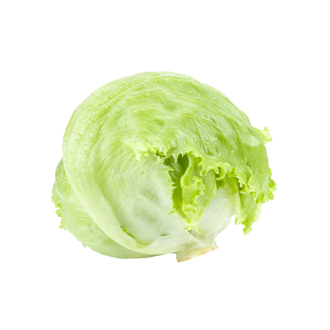 Marul Iceberg 1 Adet
