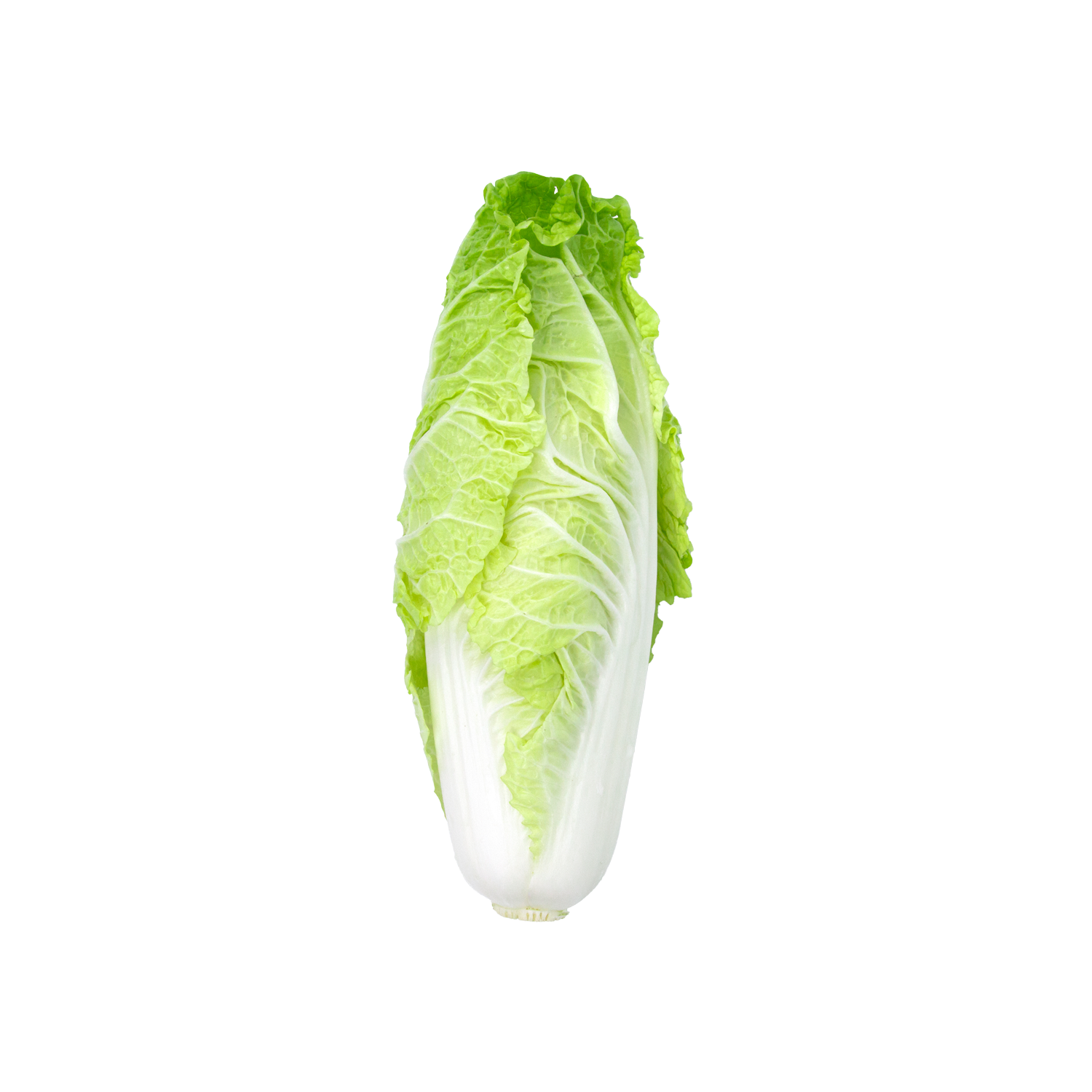 Marul Romaine 1 Demet