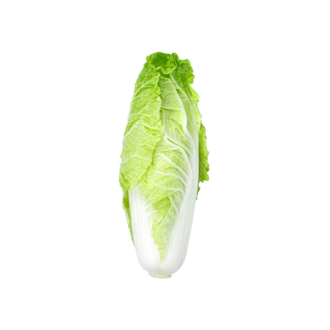 Marul Romaine 1 Demet