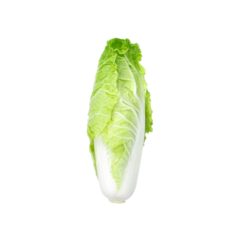 Marul Romaine 1 Demet