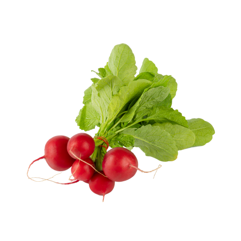 Turp Fındık 1 Demet