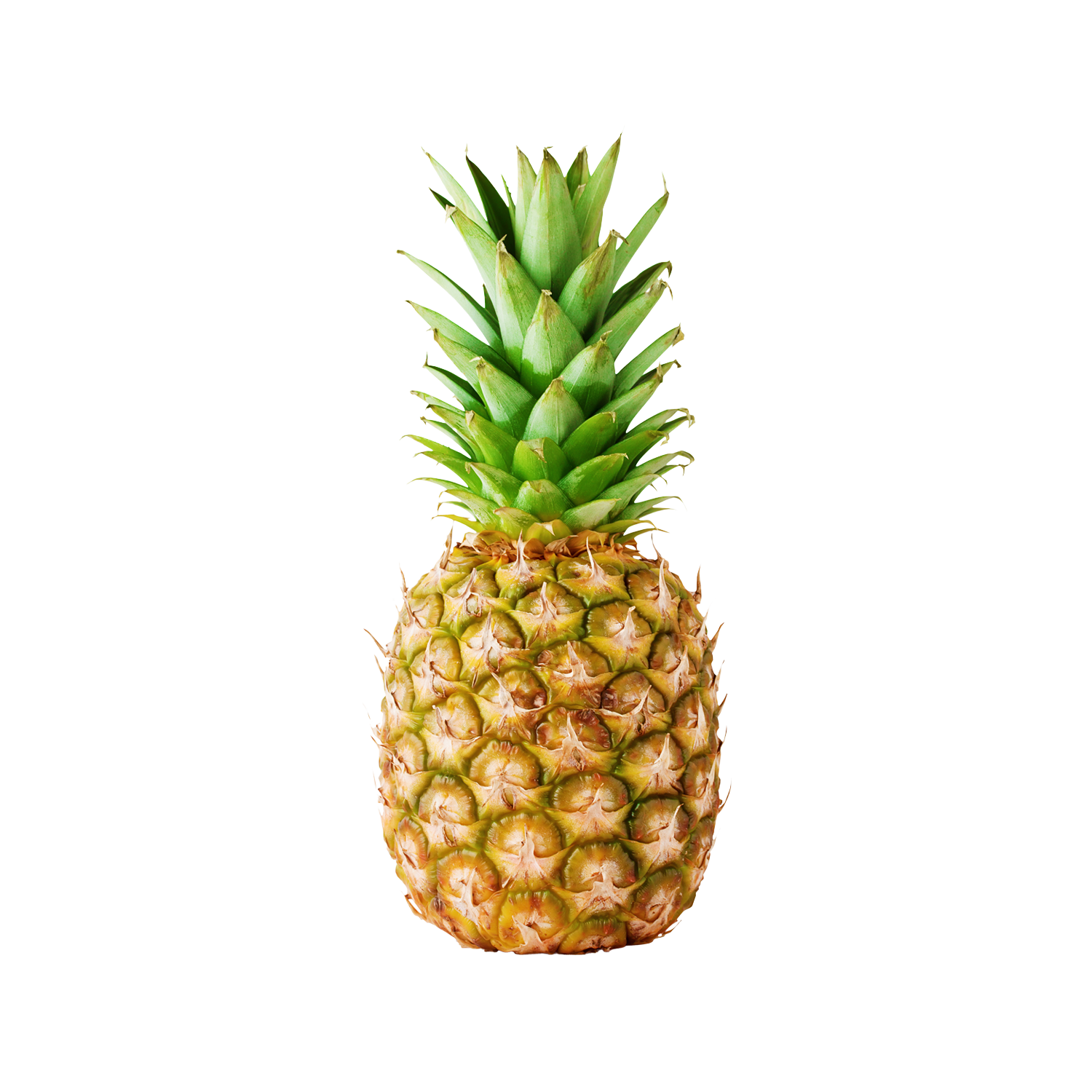 Ananas 1 Adet