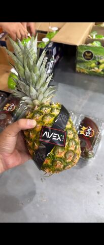 Ananas 1 Adet