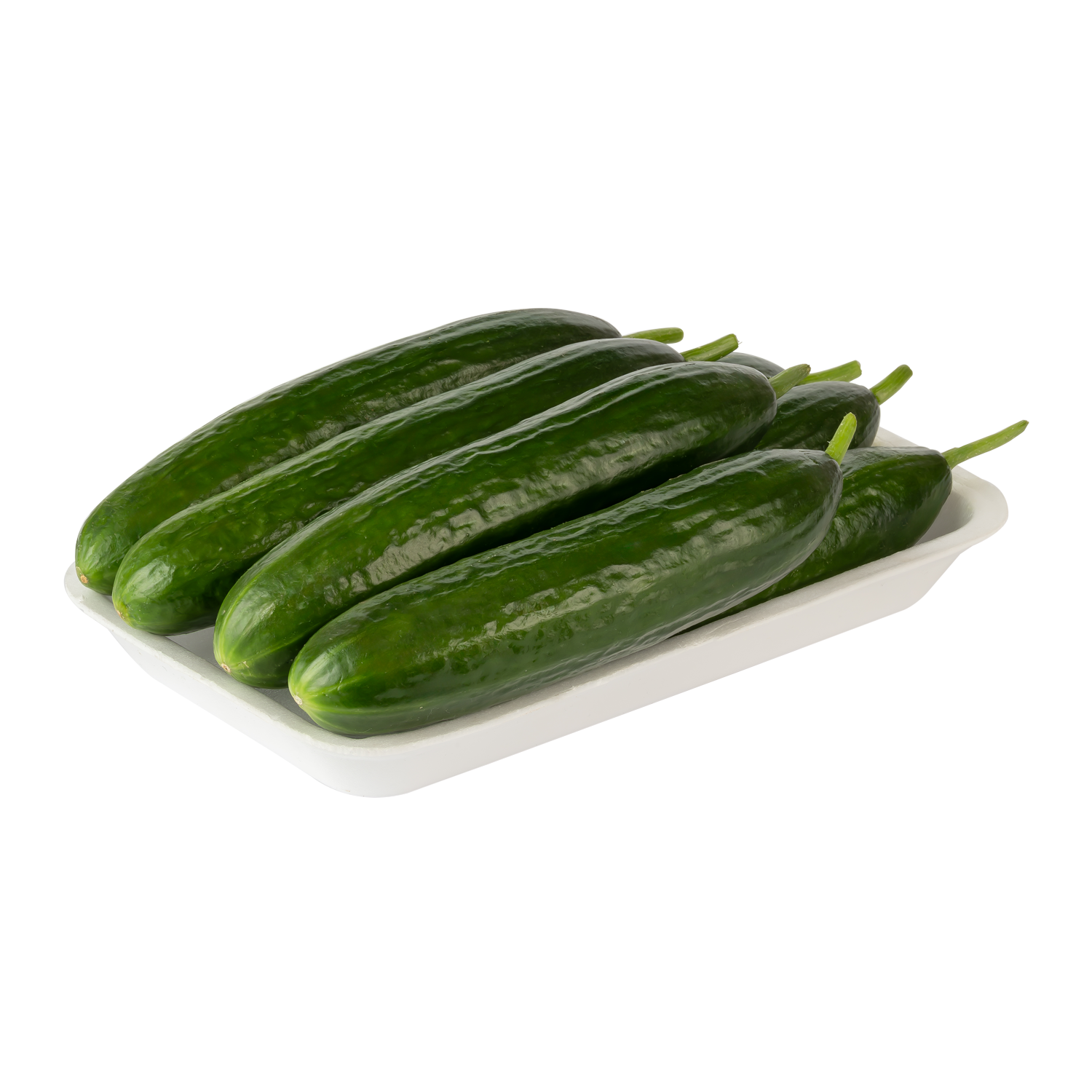 Salatalık KG