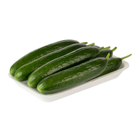 Salatalık KG