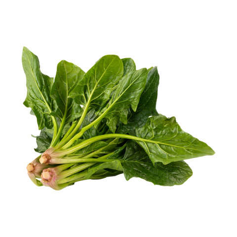 Ispanak KG