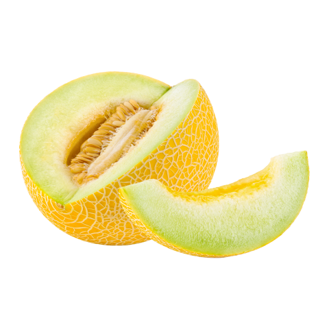 Kavun Galia KG