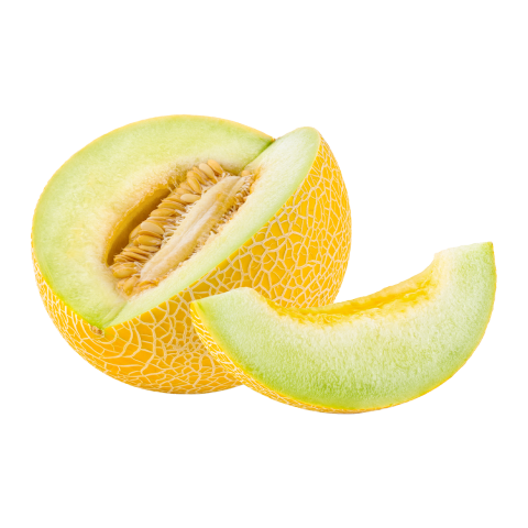 Kavun Galia KG