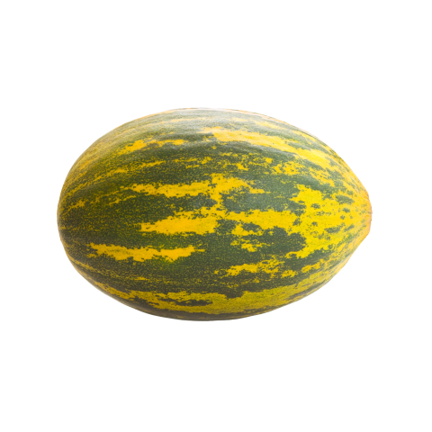 Kavun Kırkağaç KG