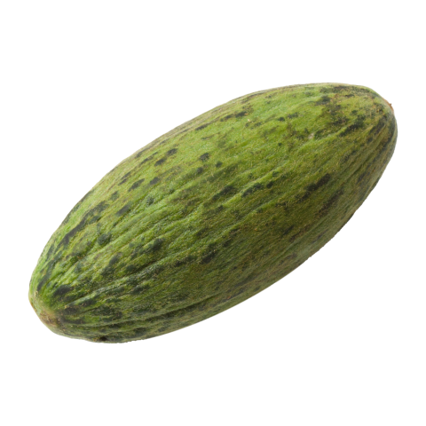 Kelek KG
