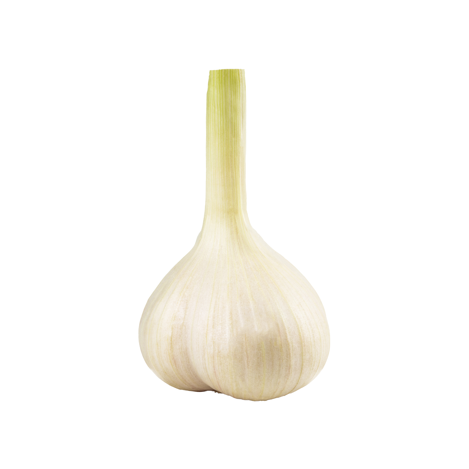 Sarımsak Taze KG