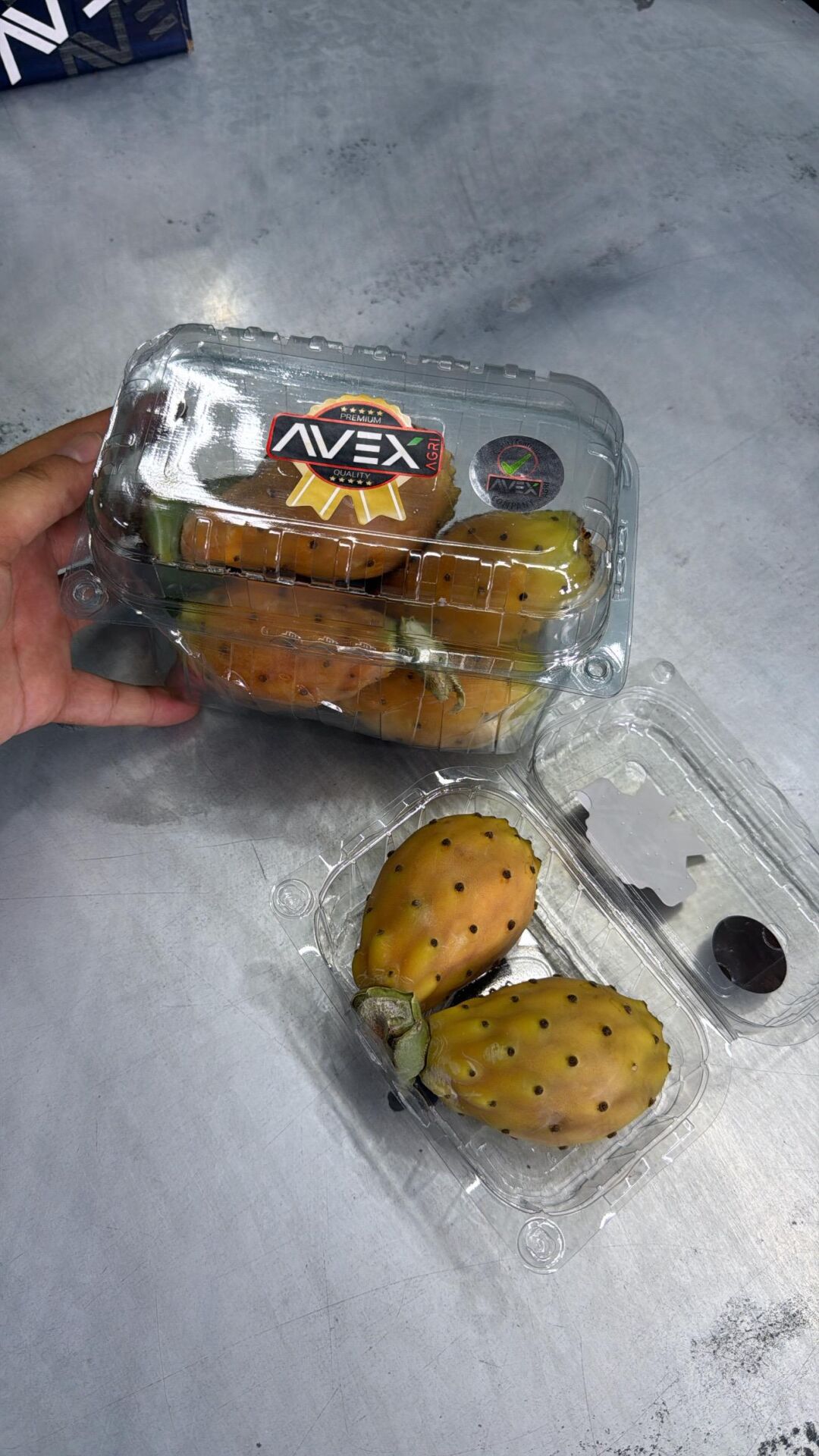 Frenk Yemişi (Paket)