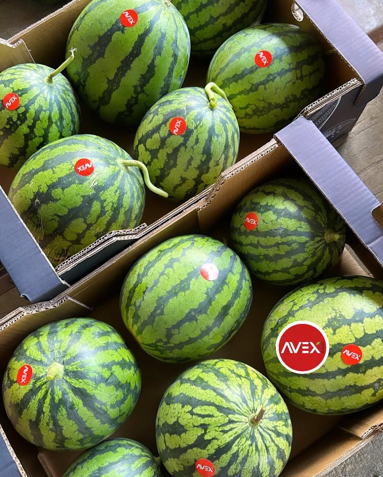 Karpuz Premium (Çekirdeksiz) Kg
